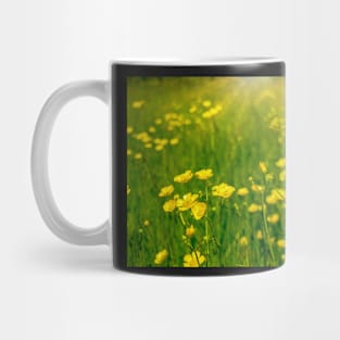 Daisies Mug